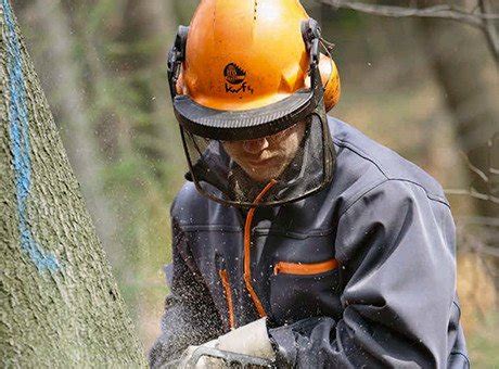 fournisseurs vetement pour bucherons et elagueurs